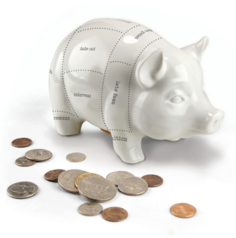 Budget Cuts Piggy Bank